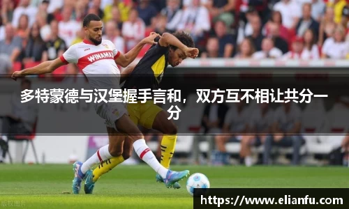 多特蒙德与汉堡握手言和，双方互不相让共分一分