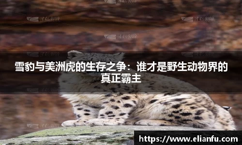 雪豹与美洲虎的生存之争：谁才是野生动物界的真正霸主