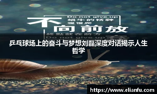 乒乓球场上的奋斗与梦想刘磊深度对话揭示人生哲学